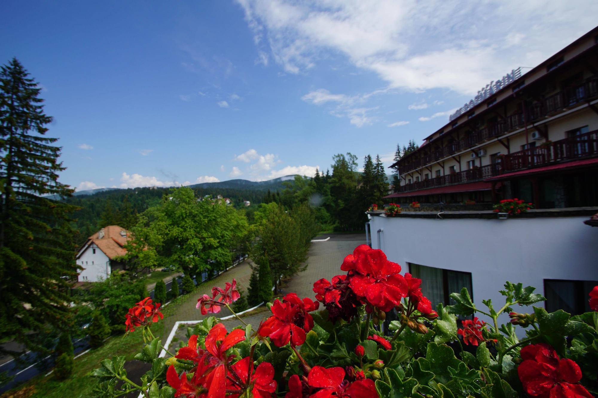 Hotel Rozmarin Predeal Extérieur photo